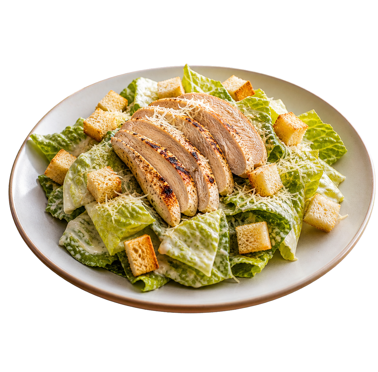 plate-1